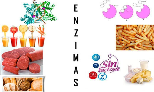 Jornada formativa gratuita sobre »Enzimas alimentarias: Evaluación y